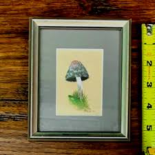Original MUSHROOM FUNGHI WATERCOLOR Framed OOAK Fine Art ...