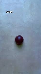 Caught in a Love Triangle: Isadora's Turbulent Reunion | TikTok