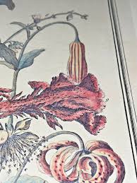 Vintage Floral Hand Painted Lithograph Print from the Twelve ...