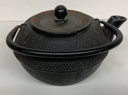 Fujita Kyusu TeaPot Kettle Nanbu Nambu Tekki Cast Ironware ...