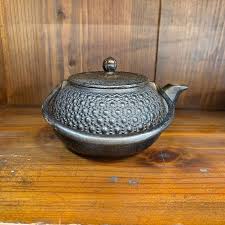 Nambu Tetsuki" Teapot type 3, tortoise kyusu from japan | eBay