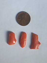 3 Freeform Italian Coral Branch Cabs-natural 20cts - Andy's ...