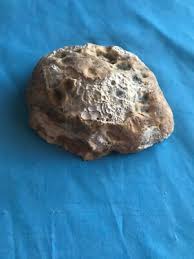 8.2 Oz. Cut & Polished (1 Side) Gray Agate Geode Half ...