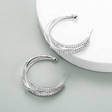 Lymphatic Activity Hoop Earrings Lymphatic Diamond Hoop ...
