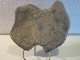 Broome Co. , NY Stone Tool - Ax Head, Scraping or Digging Tool? | eBay