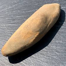 Complete Fossil Fern Nodule, 320 Million Years Old, Mazon Creek USA, Plant Fossil, Carboniferous Fossil Specimen - Etsy Israel