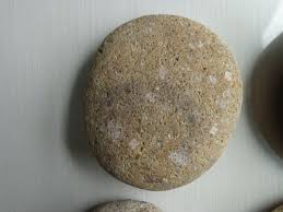 Lot of 4 Large Oval/Round Rocks Great for Crafts or Garden ...