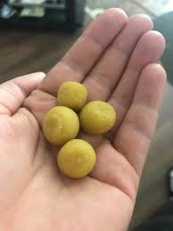Why are my home made boilies rubbery? : r/CarpFishing