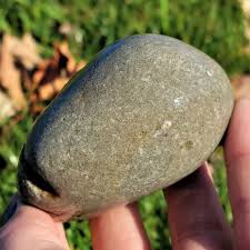 Pyritized Crinoidal Limestone, Devonian Rock Fossil, Fools ...