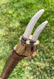 Walking Stick #661 Pin Oak With Deer Antler - Etsy