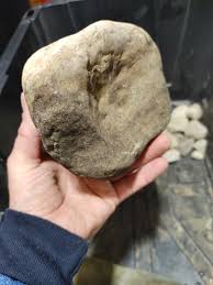 Paleo American Indian Abstract Rock Art Artifact Indian ...