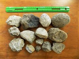 Bulk Petoskey Stones, 14 Rough Petoskey Stones for Lapidary ...