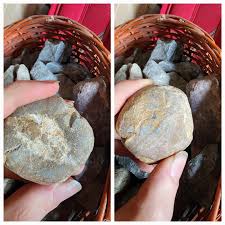 While I was tidying up I found a collection of rocks from ...