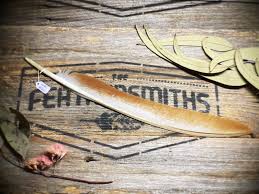 Ethical Peacock Wing Feathers - Boho Home Decorations ...