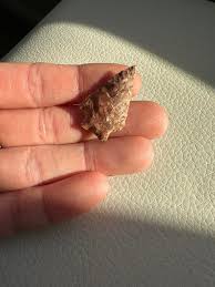 Found a " Box of broken fun"!!!!!!! | Facebook