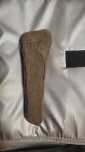 Indian hand tool or weird shaped rock??!! : r/whatsthisrock