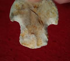 AUTHENTIC MISSOURI ARROWHEAD 1-7/8" Kampsville Barbed With ...