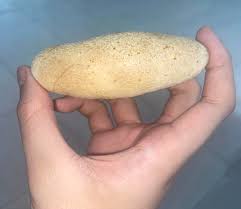 What is this bread? : r/Brazil