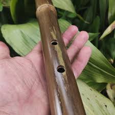 Akebono Bamboo Flute in the Key of Low G# | Deep Meditative ...