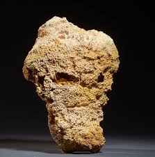 Sold at Auction: FOSSILISED CORAL