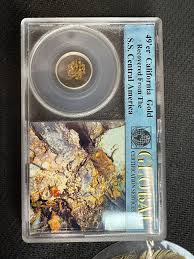 49'er California Gold Nuggets Recovered From S.S. Central America Shipwreck 1857 · Whatnot: Shop, Sell, Connect
