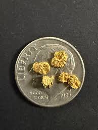ALASKAN GOLD NUGGET| Natural Gold Nugget| Authentic Alaska Natural Gold Nugget| 0.451 Grams Of Pure Raw Gold| Rare Collector's Piece Or Gift - Nugget Nick