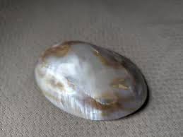 vintage ABALONE SHELL belt buckle CONCHO handcrafted WESTERN ...