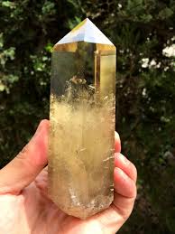 Natural Large Transparent Headed Yellow Citrine Crystal ...