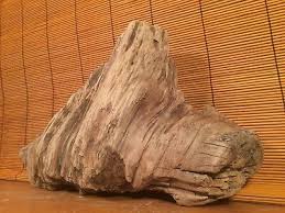 Beautiful 15" DRIFTWOOD Garden Art Terrarium Taxidermy ...