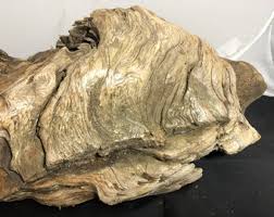 DRIFTWOOD PREHISTORIC FISH - Etsy