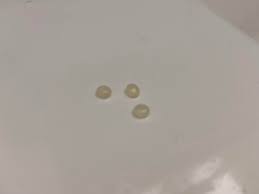 These small, plastic bead-like things I keep finding in my ...