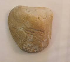 fossil 60000000 years old | eBay