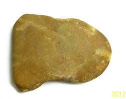 Teeth, Stone Artifact Identification - Questions & Answers - The Fossil Forum