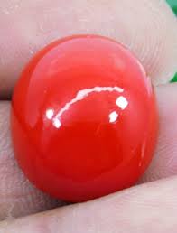 AAA+ Natural Red Coral 26.85 CT Oval Cabochon Cut Italian ...