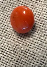 Natural Button Coral Victorian Stickpin-gorgeous Salmon ...