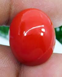 AAA+ Natural Red Coral 26.85 CT Oval Cabochon Cut Italian ...