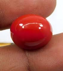 AAA+ Natural Red Coral 19.15 CT Oval Cabochon Cut Italian ...