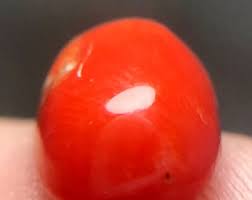3.0 CT Red Coral 100% Natural Coral Gemstone Oval Shape - Etsy
