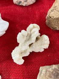 Sold at Auction: Assortment of Granite, and Fossilized Stones