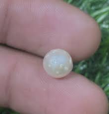 3.60 Cts Natural Wonderful China South Sea Pearl Round ...