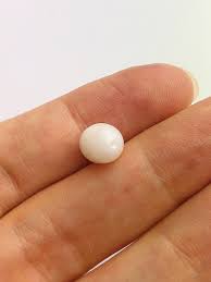 Tridacna White Clam Pearl Loose 10.63mm X 7.59mm No. 32 - Etsy