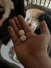 Let's see your hail! : r/ColoradoSprings