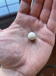 Found in a creek bed in central Texas in an area with lots ...