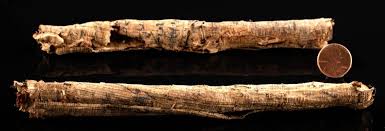 Sold at Auction: Rare Egyptian Ptolemaic Papyrus Scrolls ...