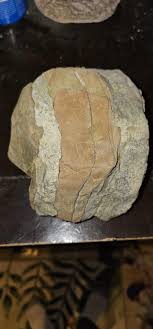 The rock : r/whatsthisrock