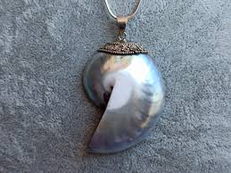 Nautilus 925 Silver Pendant, Mother of Pearl Shell Pendant ...
