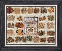 Lot - Mabel Burnside Myers, Diné [Navajo] Vegetal Dye Chart, ca. 1970
