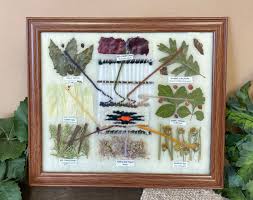 Native American Dye Chart 11.25"x9.5" (65bc183) - Mission Del Rey Southwest LLC