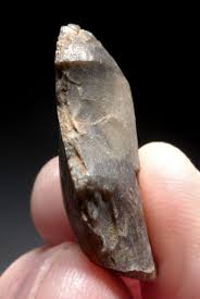 NEANDERTHAL FLINT SIDE SCRAPER MOUSTERIAN FLAKE TOOL FROM ...
