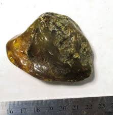 Large 42 gram piece of Baltic amber with insect - partially polished fossil | eBay